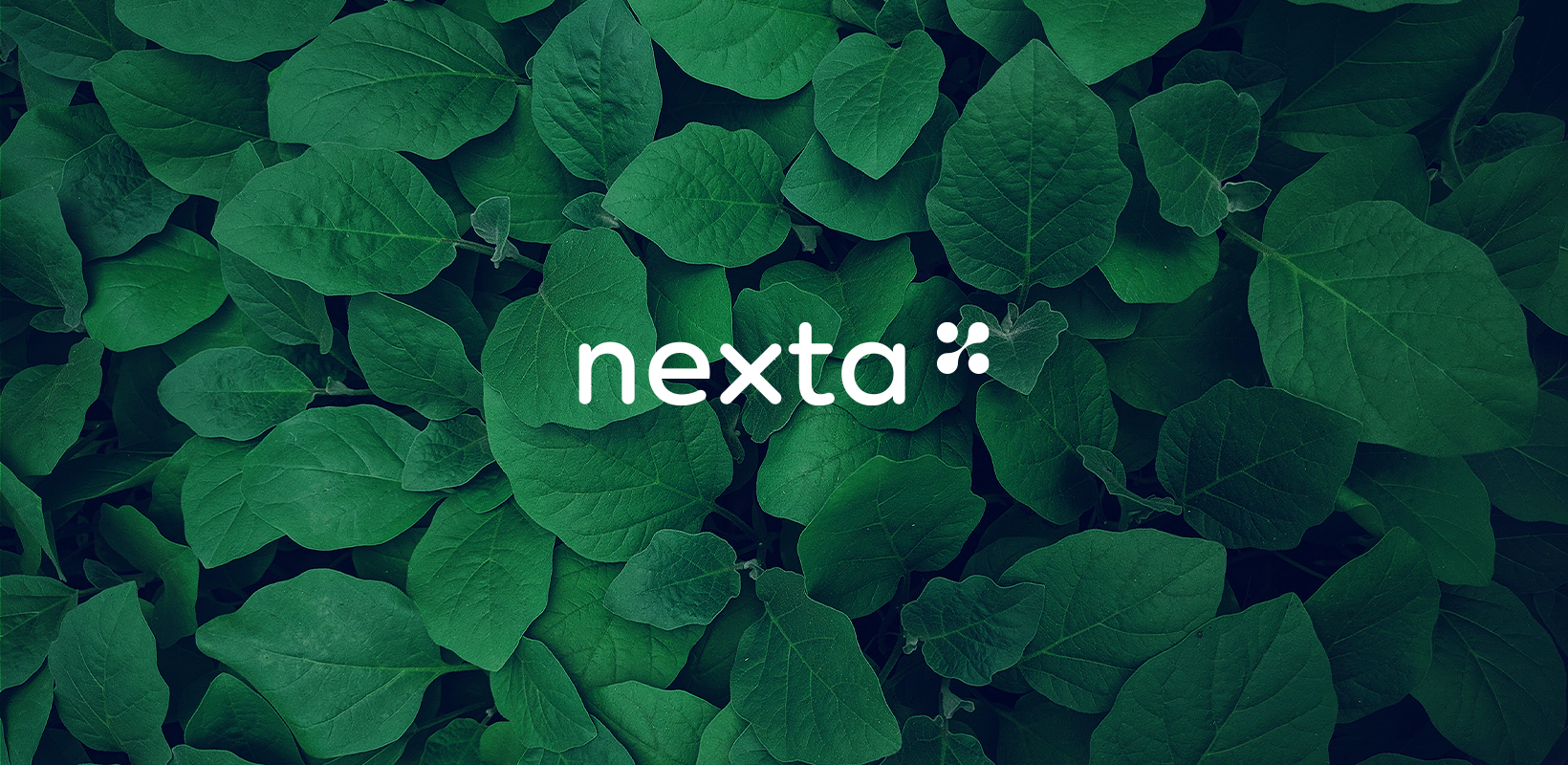 Nexta-Behance_02